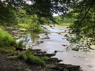 Vakantiehuis Vresse-sur-Semois Omgeving 31