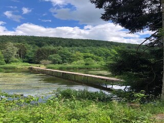 Maison de vacances Vresse-sur-Semois Environnement 32