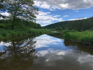Maison de vacances Vresse-sur-Semois Environnement 33