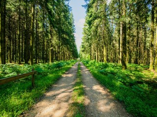 Maison de vacances Vresse-sur-Semois Environnement 45