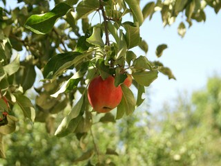 Vakantiehuis Seigneulles  39