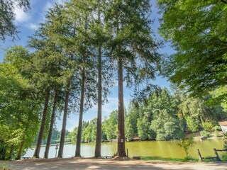 Vakantiehuis Dompierre-les-Ormes Omgeving 36
