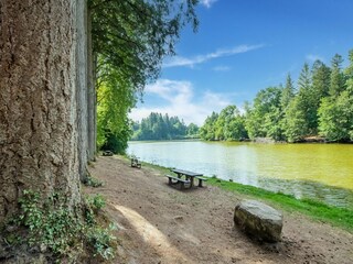 Casa per le vacanze Dompierre-les-Ormes Ambiente 31