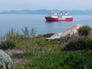 Appartement Rafina Environnement 31