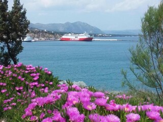 Appartement Rafina Environnement 33