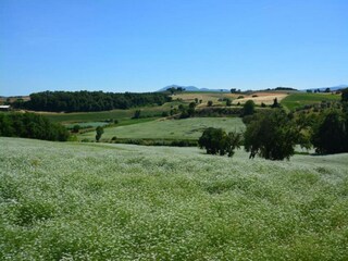 Farmhouse Paciano Environment 40