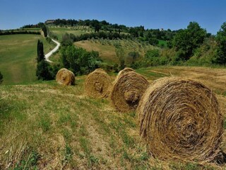 Farmhouse Paciano Environment 20