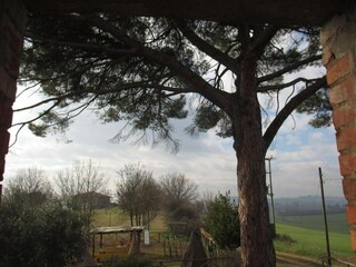 Casa de campo Paciano Entorno 37