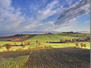 Type de propriété : Ferme Paciano Environnement 28