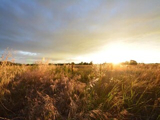 Boerderij Paciano Omgeving 32