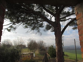 Bauernhof Paciano Umgebung 33