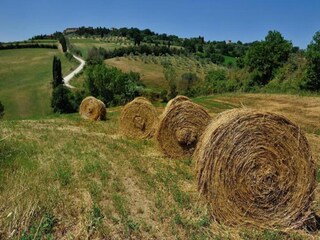 Type de propriété : Ferme Paciano Environnement 39