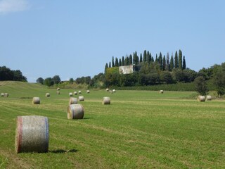 Maison de vacances Ronzo Chienis Environnement 36