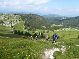 Vakantiehuis Ronzo Chienis Omgeving 35