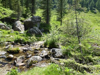 Vakantiehuis Ronzo Chienis Omgeving 36