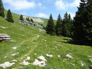 Maison de vacances Ronzo Chienis Environnement 40