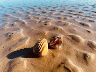 Apartment Marotta-Mondolfo Umgebung 40