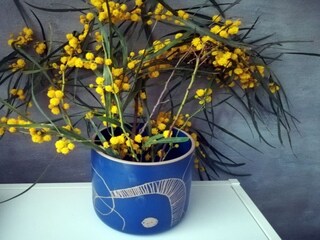 Holiday house San Nicola l'Arena  51