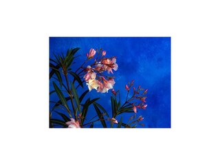 Casa de vacaciones San Nicola l'Arena  57