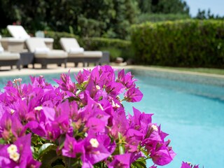 Casa per le vacanze La Garde-Freinet Registrazione all'aperto 3