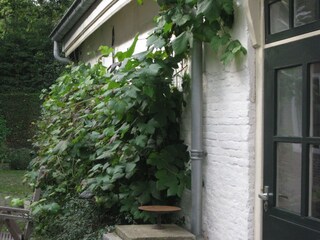 Casa per le vacanze Bergen (Holland) Registrazione all'aperto 5