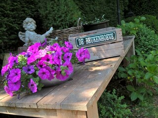 Casa per le vacanze Bergen (Holland) Ambiente 28