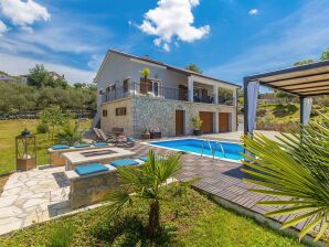 Holiday house Franolic with swimming pool - Nenadići - image1