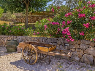 Vakantiehuis Nenadići Buitenaudio-opname 10