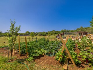 Vakantiehuis Nenadići Buitenaudio-opname 17