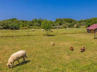 Vakantiehuis Nenadići Buitenaudio-opname 20