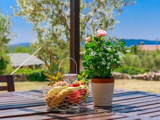 Maison de vacances Nenadići Enregistrement extérieur 15