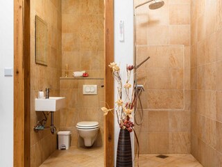 Villa Kras Caratteristiche 53