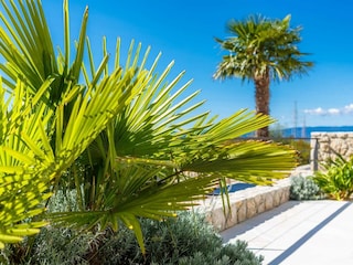 Villa Dobrinj Outdoor Recording 5