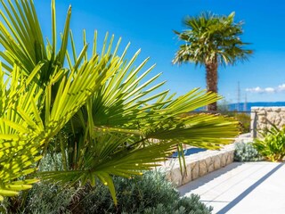 Villa Dobrinj Registrazione all'aperto 6