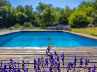 Casa per le vacanze Garica Registrazione all'aperto 9