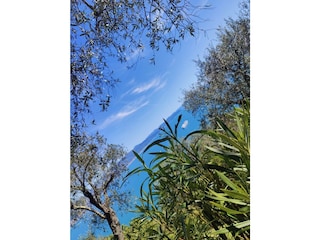 Sight from Monte Portofino