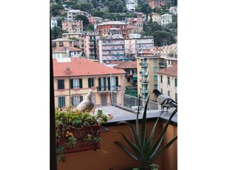 Vakantieappartement Santa Margherita Ligure Buitenaudio-opname 5