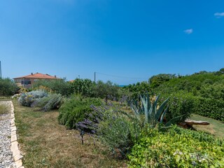 Villa Novigrad (Istrien) Registrazione all'aperto 11