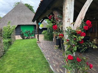 Vakantiehuis Meppel Buitenaudio-opname 3