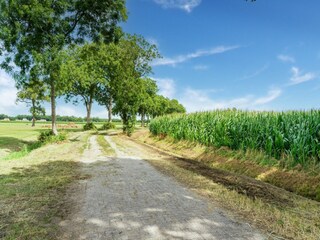 Vakantiehuis Meppel Omgeving 34