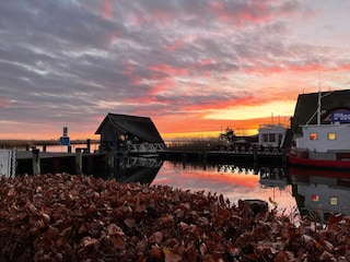 Zingst Hafen