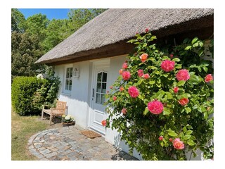 Ferienhaus Landkirchen Außenaufnahme 11