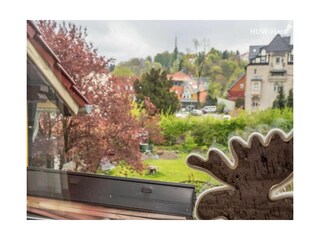 Apartamento de vacaciones Wernigerode Grabación al aire libre 2