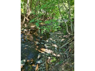 Casa per le vacanze Zorge Ambiente 65