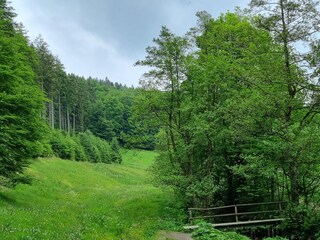 Casa de vacaciones Willingen Entorno 13