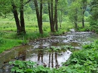Casa per le vacanze Willingen Ambiente 15
