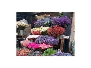 Appartamento per vacanze Paris Ambiente 12