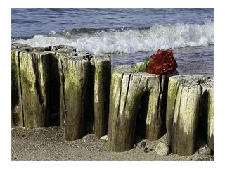 Am Ostseeufer