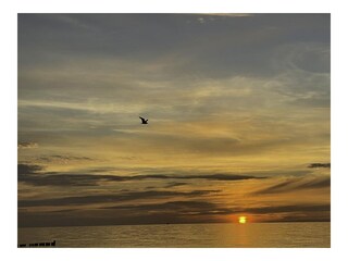 Der Horizont