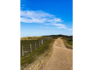 Vakantieappartement Domburg Omgeving 18